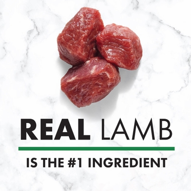 NUTRO-NATURAL-CHOICE-SMALL-BITE-LAMB-WHOLE-RICE-5-LB