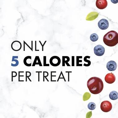 NUTRO-CRUNCHY-TREATS-BERRIES-16-OZ