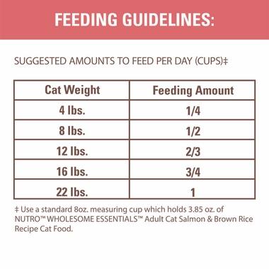 NUTRO-NATURAL-CHOICE-CAT-SALMON-RICE-14-LB