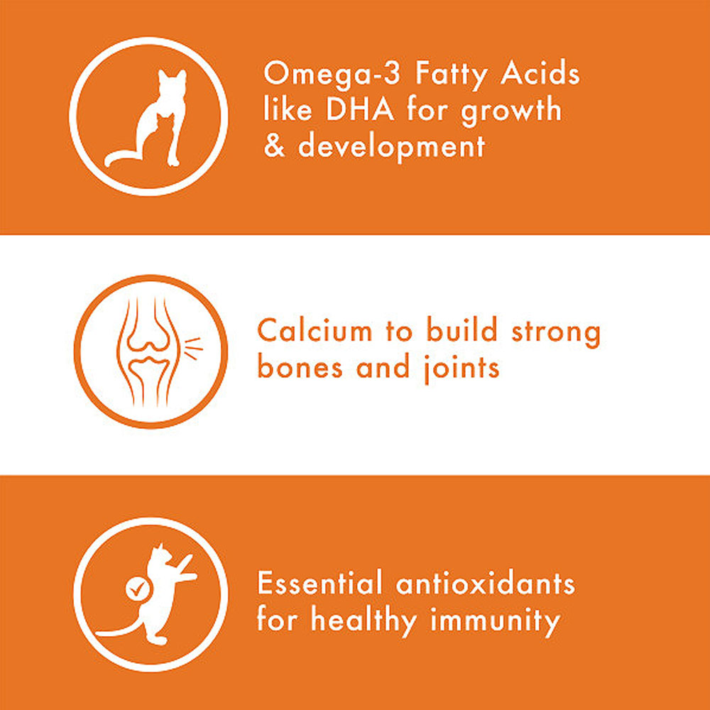 NUTRO-NATURAL-CHOICE-KITTEN-CHICKEN-RICE-6-5-LB