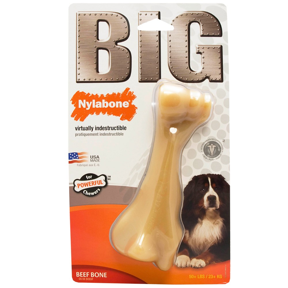 Nylabone Big Chews
