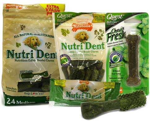 Nylabone Nutri Dent Dental Care System 