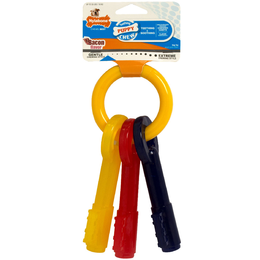 PUPKEYSLARGE