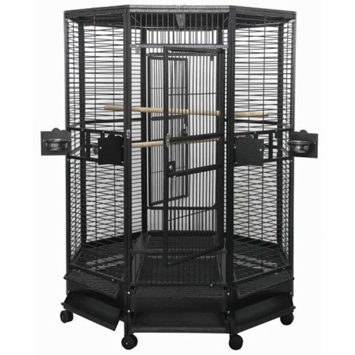 洋楽 CAGE Octagon Parrot Cage 1