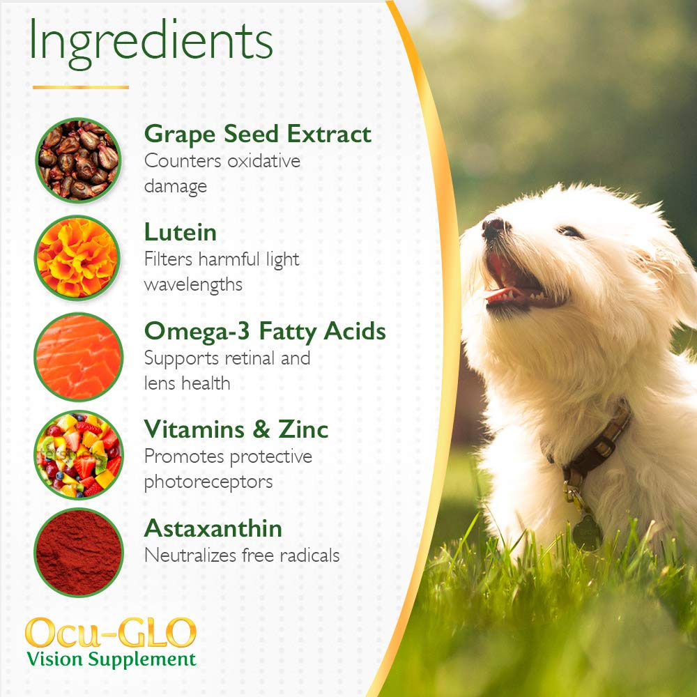 OCU-GLO-XL-MEDIUM-LARGE-DOGS-90-POWDER-CAPS