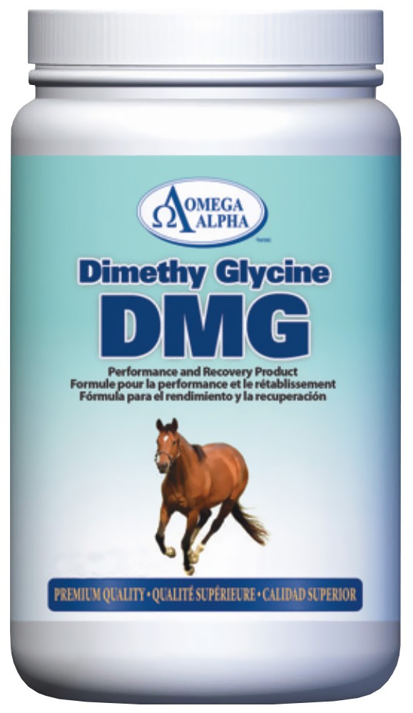 Omega Alpha Horse Performance & Recovery