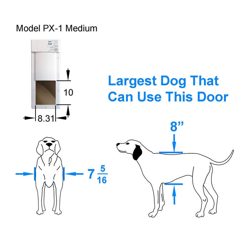 OPENING-POWER-PET-DOOR-WALL-INSTALLTNS-LG