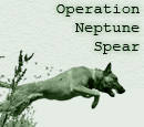 Operation Neptune Spear