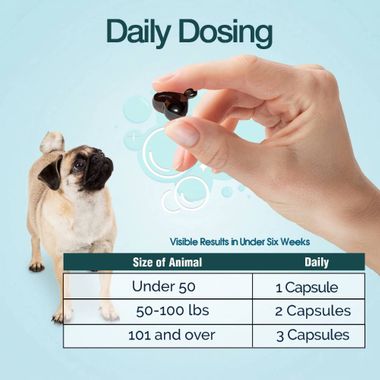 ORA-CLENS-1-TDC-PERIODONTAL-120-SOFT-GELS