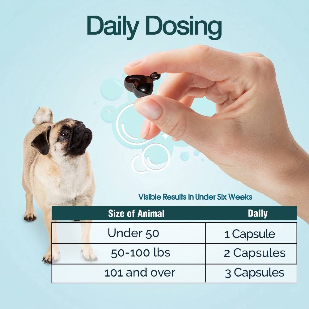 ORA-CLENS-1-TDC-PERIODONTAL-120-SOFT-GELS