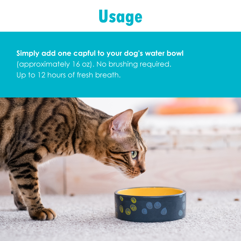 OraClens Dental Rinse for Dogs and Cats 8 oz