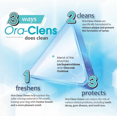ORA-CLENS-ORAL-HYGIENE-CHEWS-LARGE-30-CHEWS