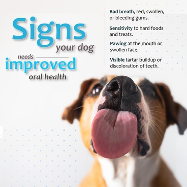 ORA-CLENS-ORAL-HYGIENE-CHEWS-MEDIUM-30-CHEWS