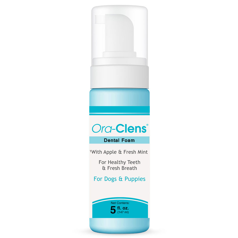 Ora-Clens Dental Foam