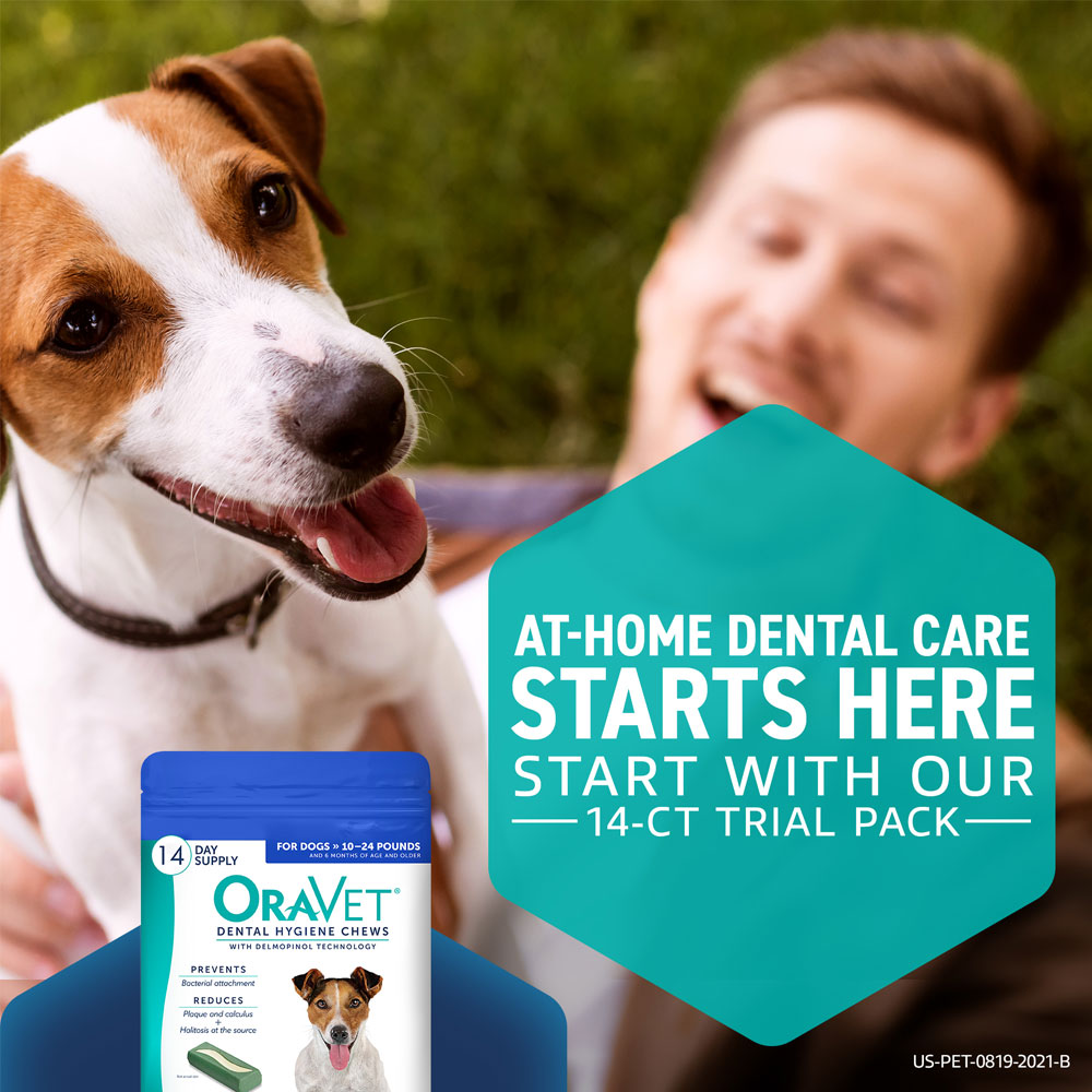 ORAVET-DENTAL-HYGIENE-CHEWS-SMALL-14-COUNT