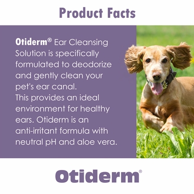 OTIDERM-ADVANCED-EAR-CLEANSER-16-OZ