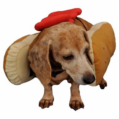 OTIS-CLAUDE-HOT-DIGGITY-DOG-COSTUME-KETCHUP-MEDIUM
