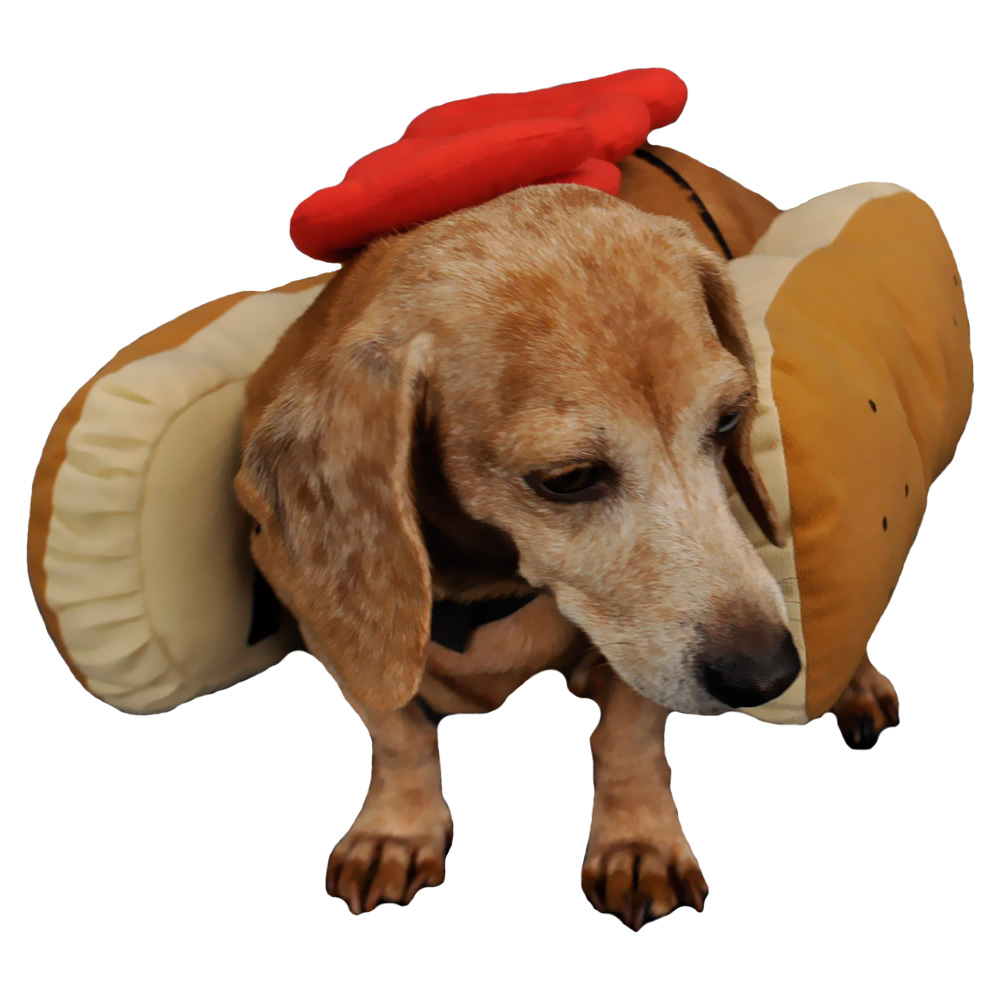 OTIS-CLAUDE-HOT-DIGGITY-DOG-COSTUME-KETCHUP-MEDIUM