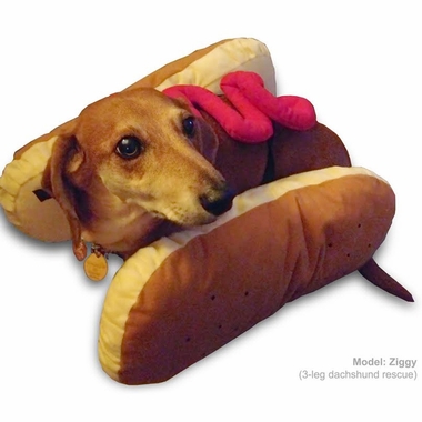 OTIS-CLAUDE-HOT-DIGGITY-DOG-COSTUME-KETCHUP-MEDIUM
