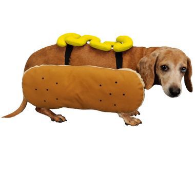 OTIS-CLAUDE-HOT-DIGGITY-DOG-COSTUME-MUSTARD-LARGE