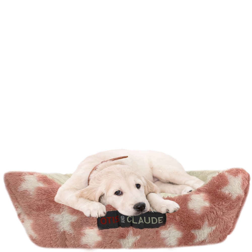 OTIS-CLAUDE-CORAL-VELVET-PETBD-PINK-XSM-47X37-CM