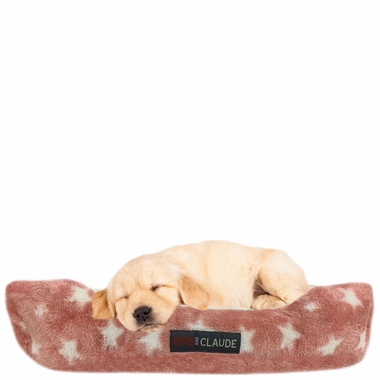 OTIS-CLAUDE-CORAL-VELVET-PETBD-PINK-MD-75X58-CM