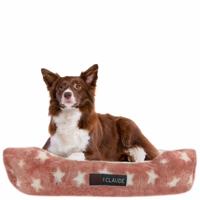 OTIS-CLAUDE-CORAL-VELVET-PETBD-PINK-MD-75X58-CM