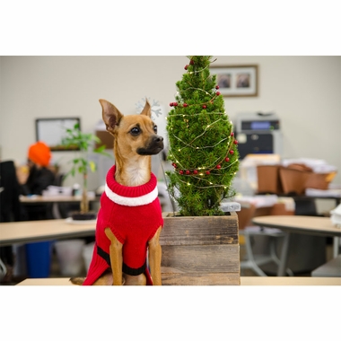 OTIS-CLAUDE-FETCHING-FASHION-HOLIDAY-SANTA-SWEATER-SMALL