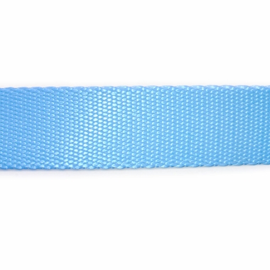 OTIS-CLAUDE-DOG-LEASH-LARGE-PRINCESS-BLUE