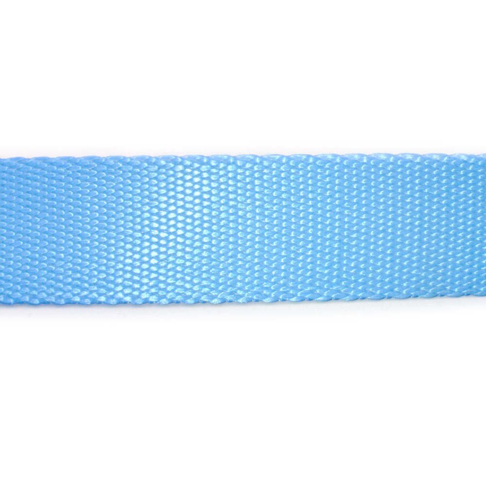 OTIS-CLAUDE-DOG-LEASH-LARGE-PRINCESS-BLUE