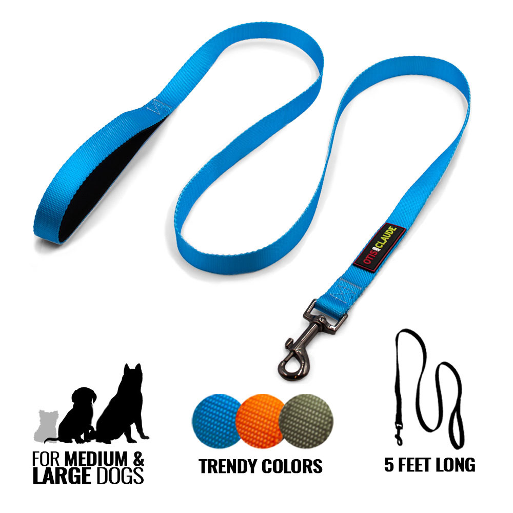 OTIS-CLAUDE-DOG-LEASH-LARGE-PRINCESS-BLUE