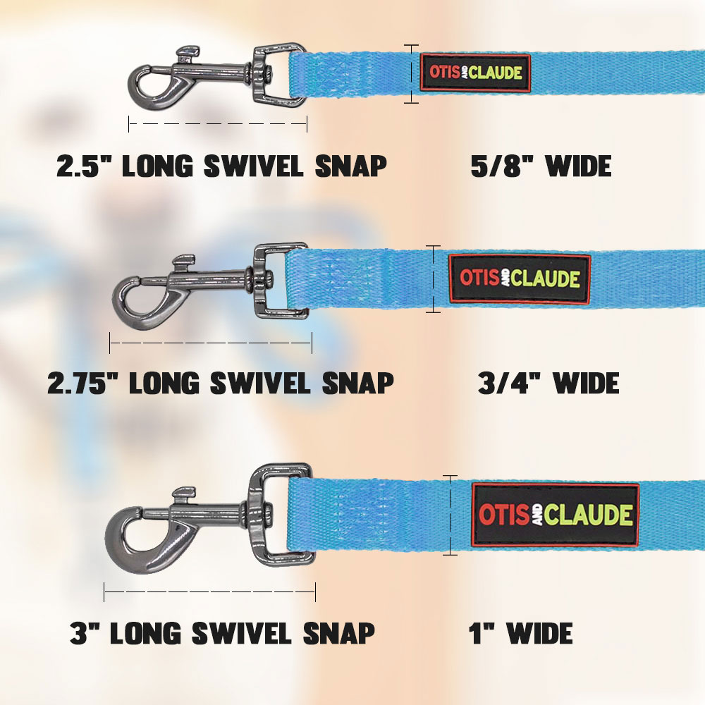OTIS-CLAUDE-DOG-LEASH-LARGE-PRINCESS-BLUE