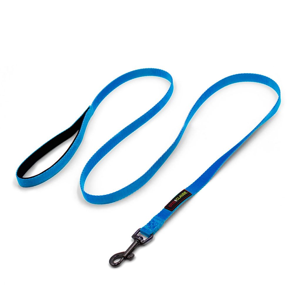 OTIS-CLAUDE-DOG-LEASH-LARGE-PRINCESS-BLUE