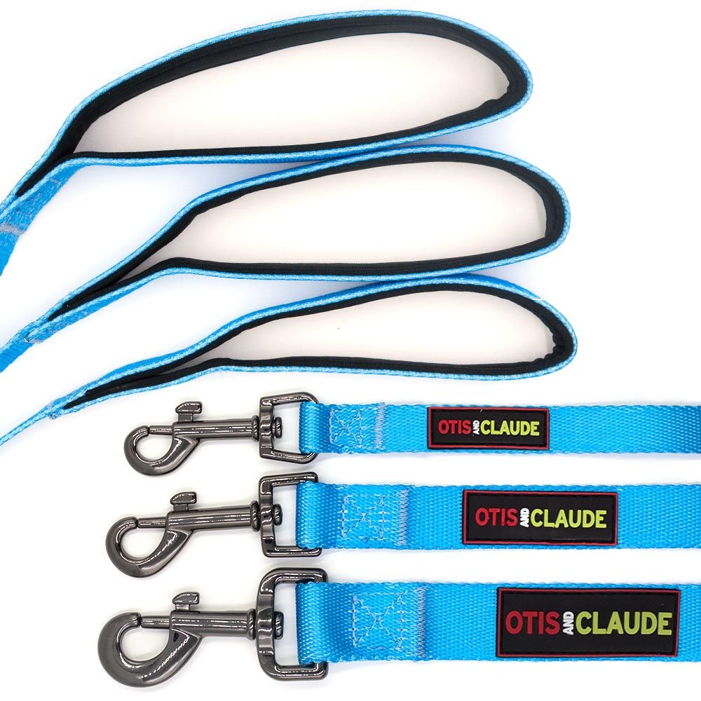 OTIS-CLAUDE-DOG-LEASH-LARGE-PRINCESS-BLUE