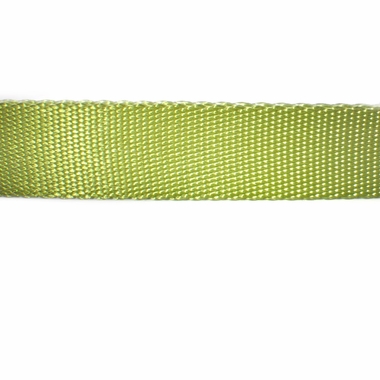 OTIS-CLAUDE-DOG-LEASH-LARGE-TERRARIUM-MOSS