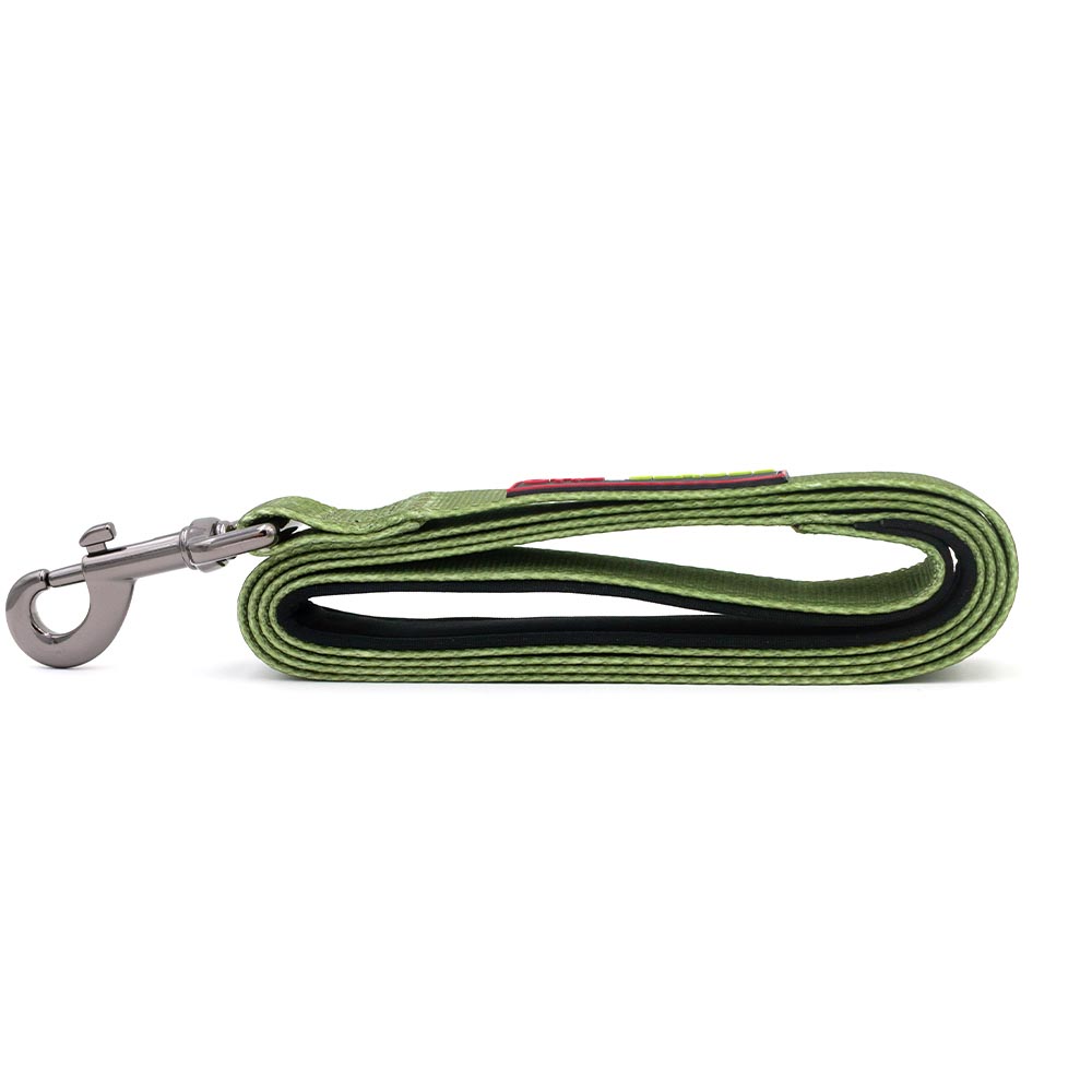 OTIS-CLAUDE-DOG-LEASH-LARGE-TERRARIUM-MOSS