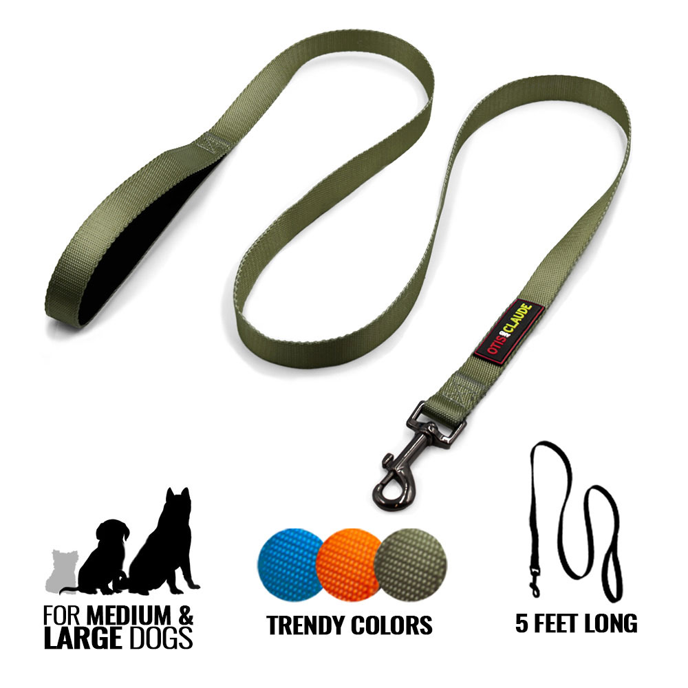 OTIS-CLAUDE-DOG-LEASH-LARGE-TERRARIUM-MOSS