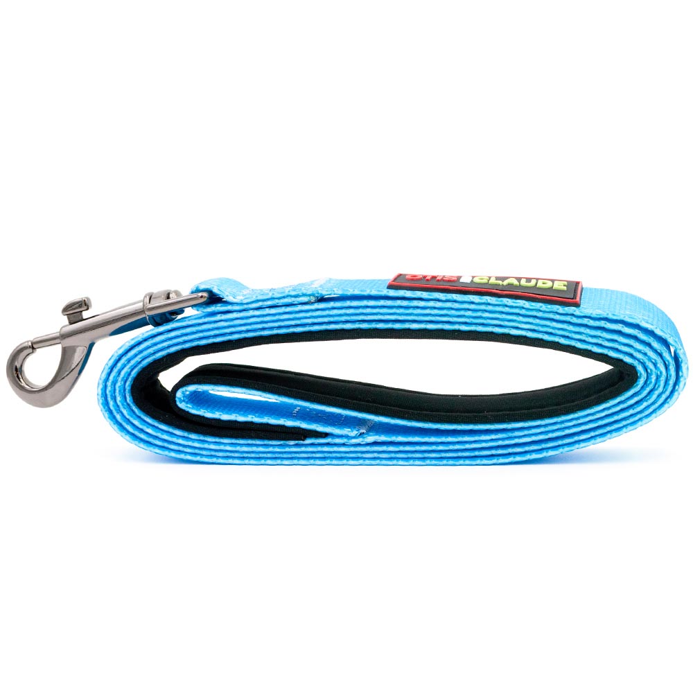 OTIS-CLAUDE-DOG-LEASH-MEDIUM-PRINCESS-BLUE