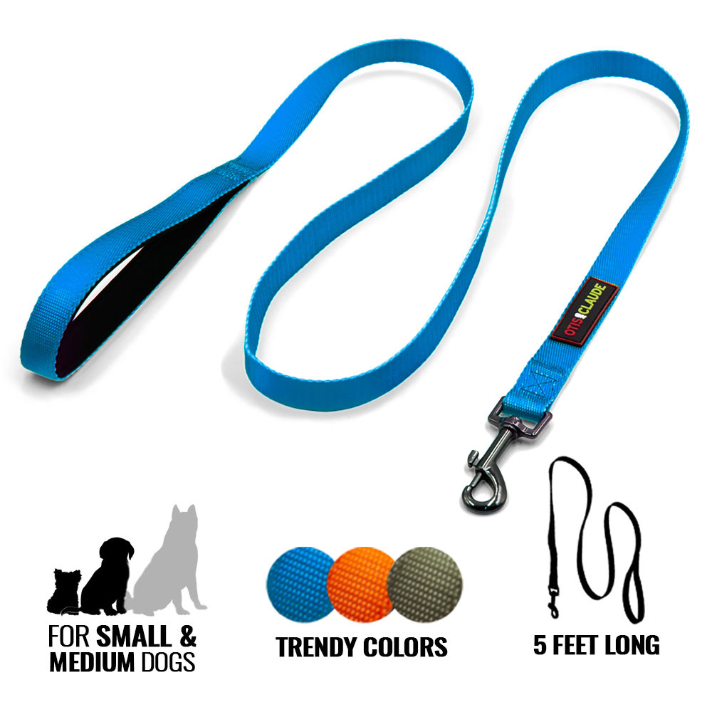 OTIS-CLAUDE-DOG-LEASH-MEDIUM-PRINCESS-BLUE