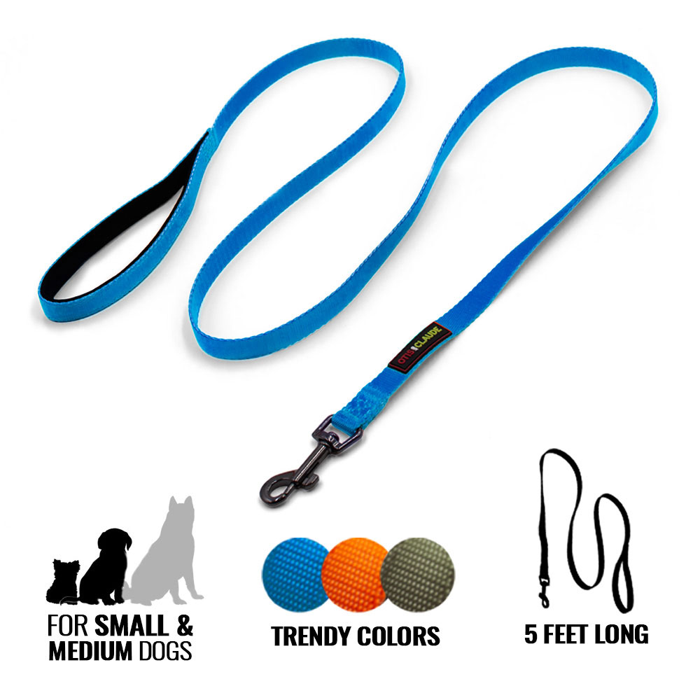 OTIS-CLAUDE-DOG-LEASH-SMALL-PRINCESS-BLUE
