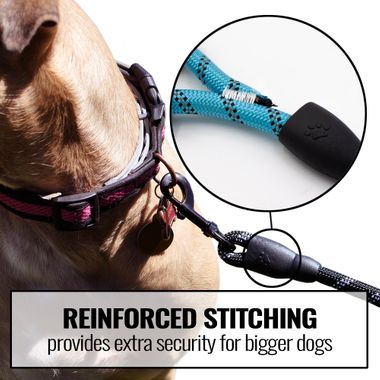 REFLECTIVE-ROPE-LEASH-BLUE