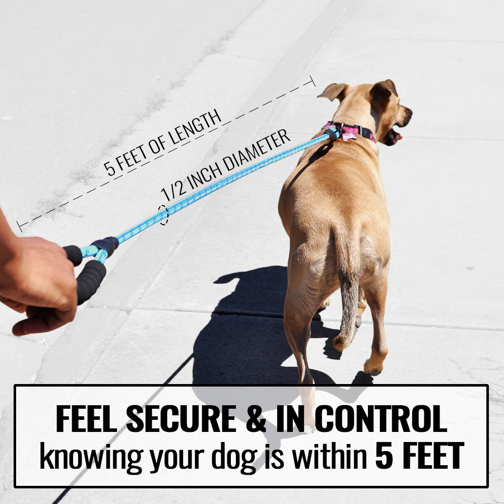 REFLECTIVE-ROPE-LEASH-BLUE