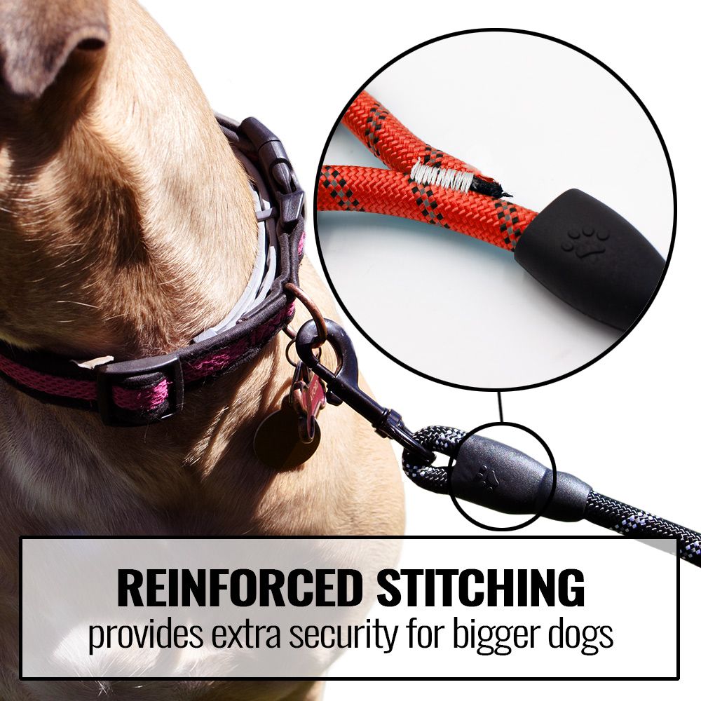 REFLECTIVE-ROPE-LEASH-RED