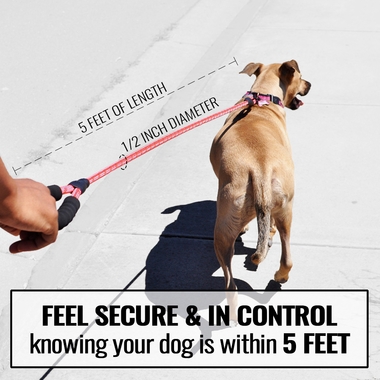 REFLECTIVE-ROPE-LEASH-RED