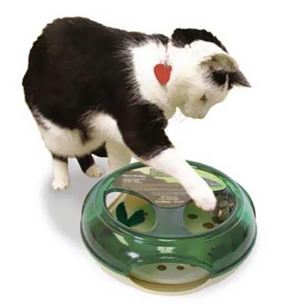 OURPETS-THRILL-OF-THE-CHASE