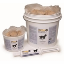 Pala-Tech Balt Respiratory Advantage Paste for Horses 80 ml