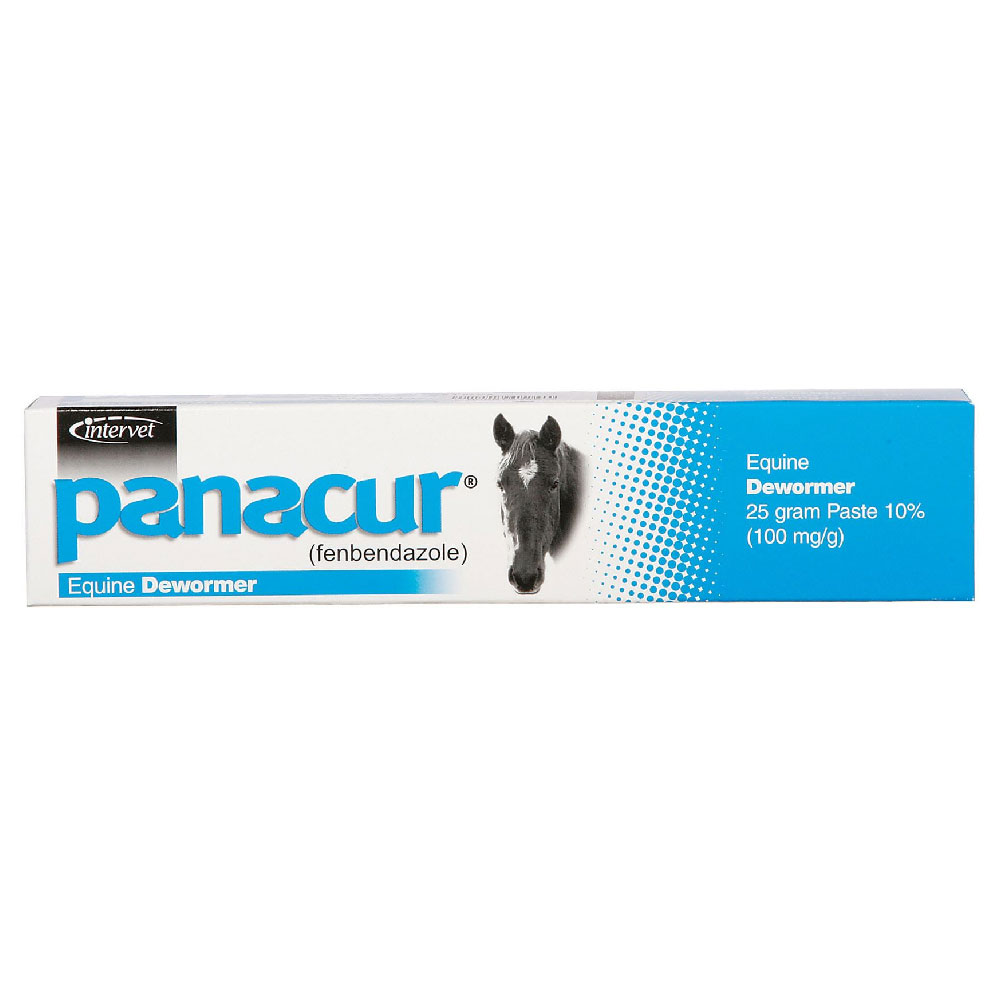 Panacur Paste Equine - Apple Cinnamon Flavor - Syringe (25 grams)