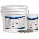 Pect-A-Guard Plus, 40 Capsules