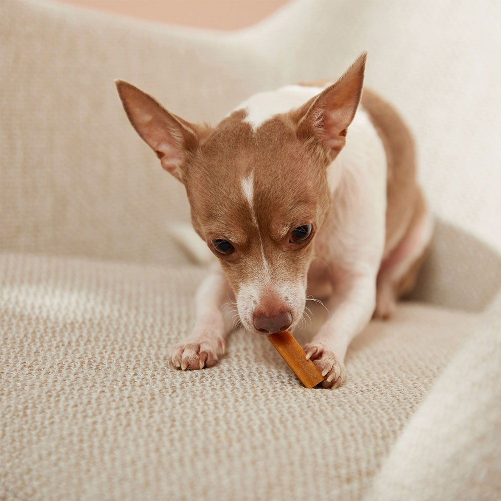 PEDIGREE-DENTASTIX-DAILY-ORAL-CARE-MINI-5-96-OZ