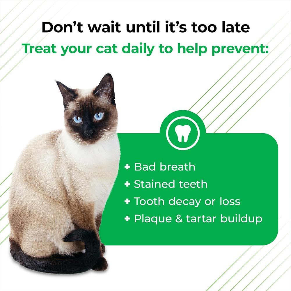 PERIO-PLUS-FELINE-BITES-60-CHEWS